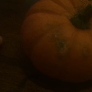 Meet your Posher, Peter